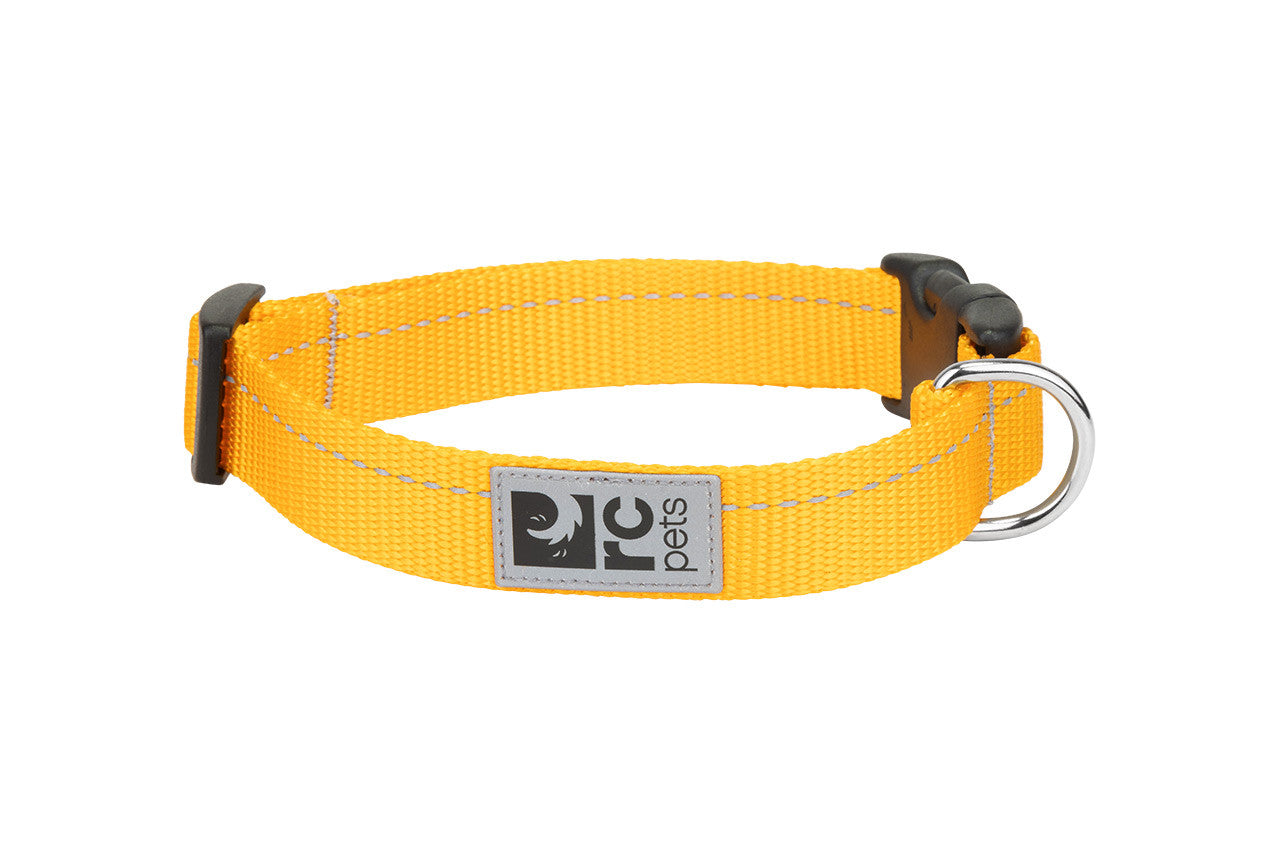 RC PETS PRIMARY CLIP COLLAR