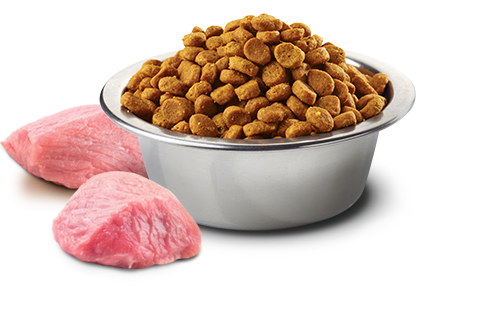 FARMINA N&D PUMPKIN GRAIN FREE - CHICKEN, PUMPKIN AND POMEGRANATE ADULT - MED & MAXI BREEDS