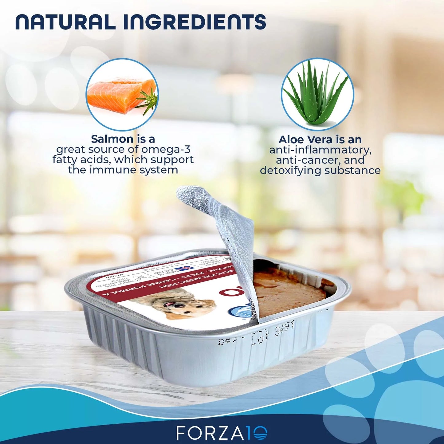 FORZA10 NUTRACEUTIC ACTIWET DERMO ICELANDIC FISH RECIPE WET DOG FOOD