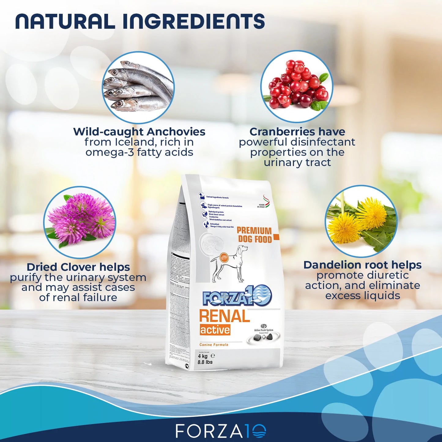 FORZA10 NUTRACEUTIC ACTIVE KIDNEY RENAL SUPPORT DIET DRY DOG FOOD