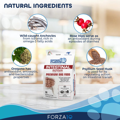 FORZA10 NUTRACEUTIC ACTIVE INTESTINAL SUPPORT DIET DRY DOG FOOD