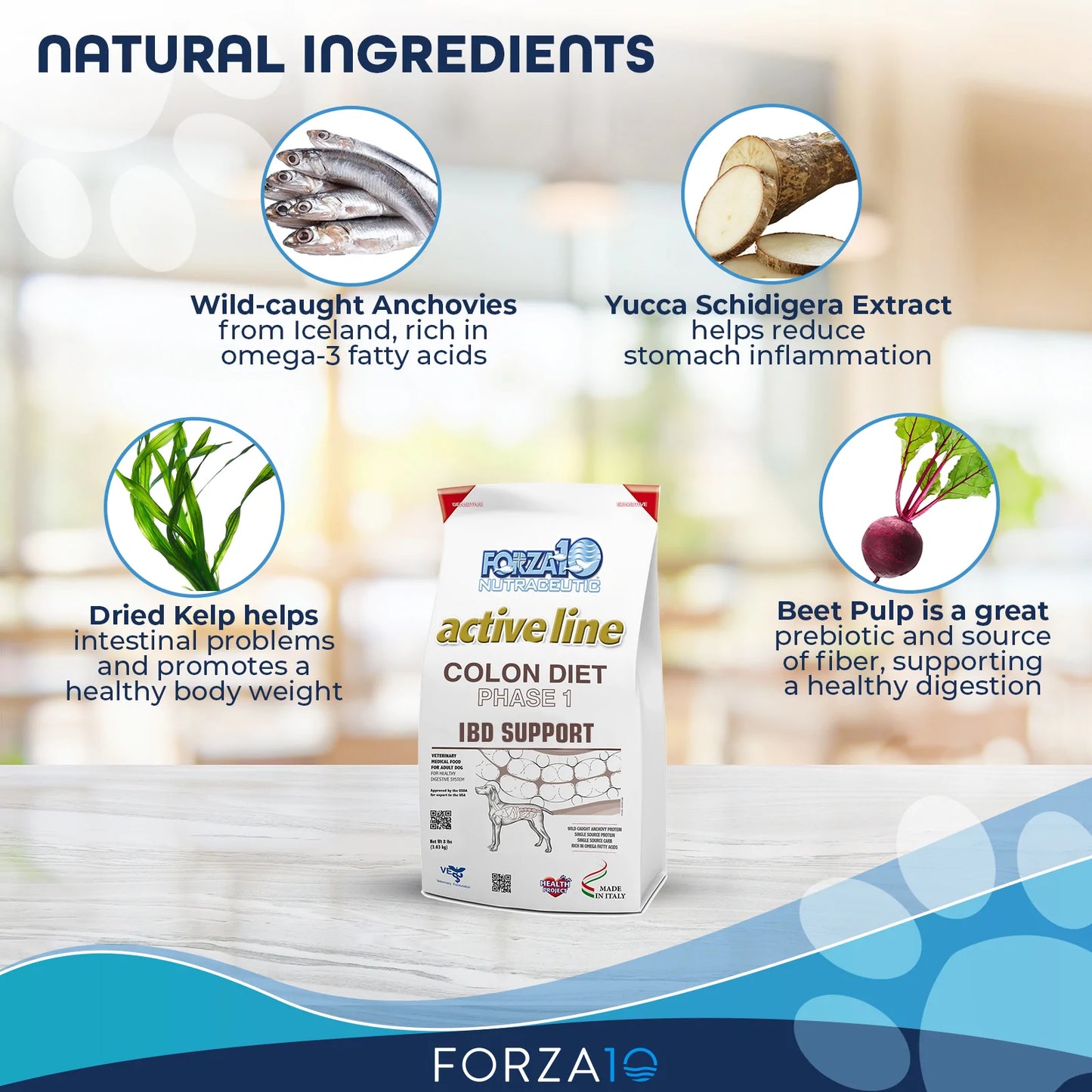 FORZA10 NUTRACEUTIC ACTIVE COLON DIET PHASE 1 DRY DOG FOOD