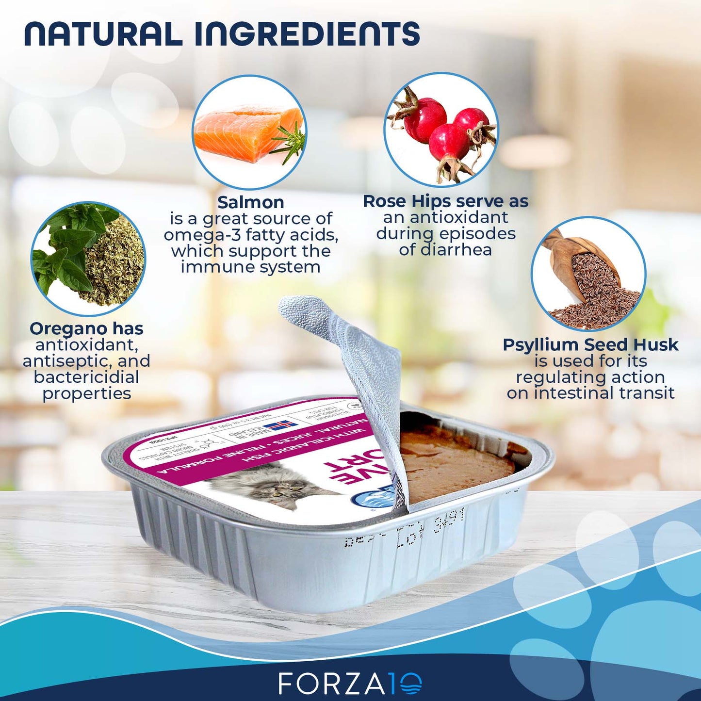 FORZA10 NUTRACEUTIC ACTIWET DIGESTIVE SUPPORT ICELANDIC FISH RECIPE WET CAT FOOD