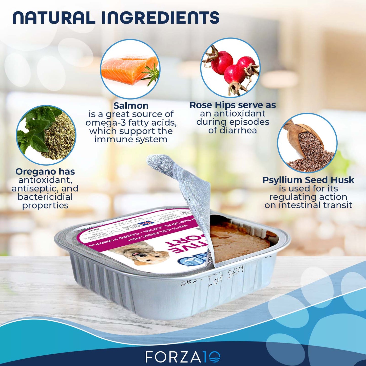FORZA10 NUTRACEUTIC ACTIWET DIGESTIVE SUPPORT ICELANDIC FISH RECIPE CANNED DOG FOOD