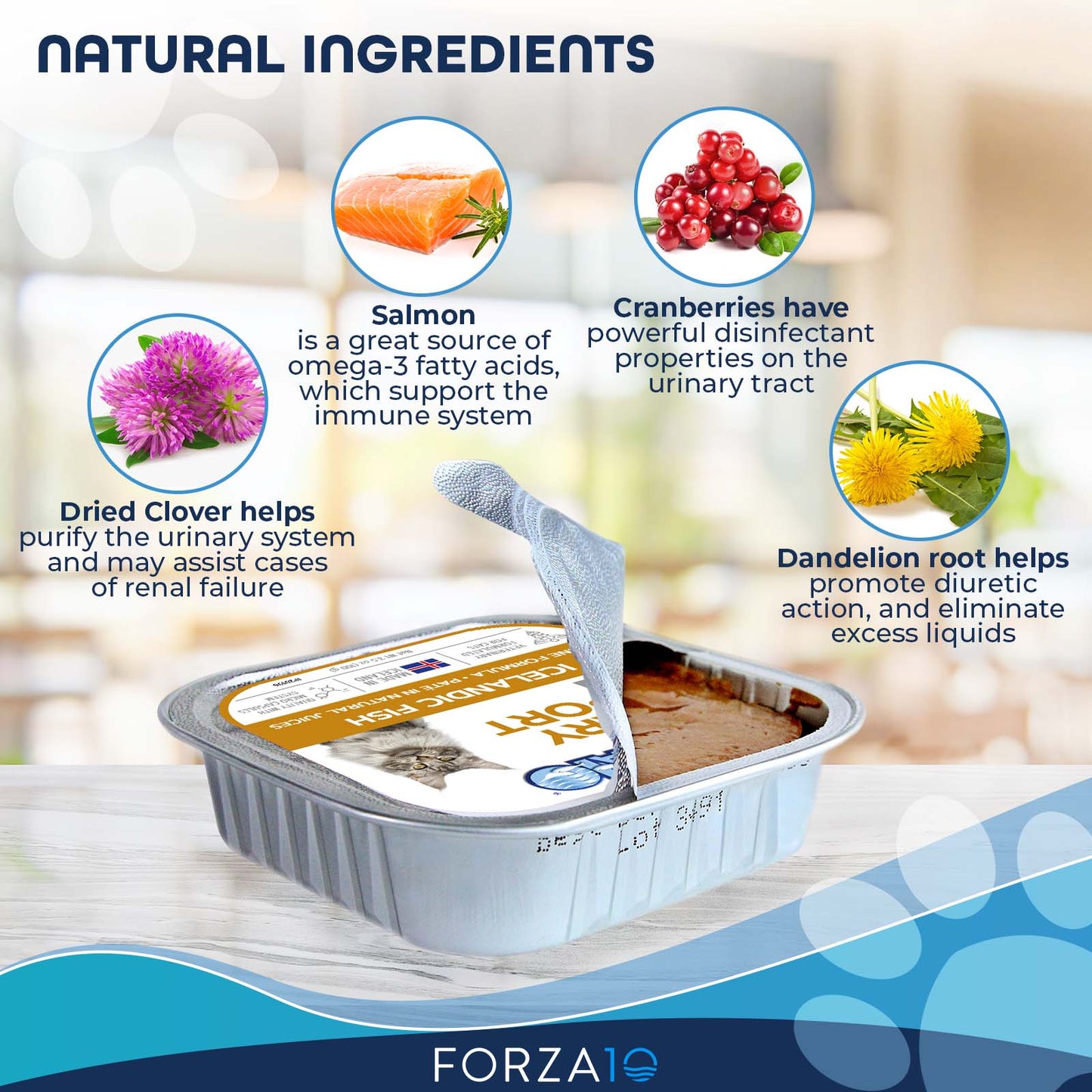 FORZA10 NUTRACEUTIC ACTIWET URINARY SUPPORT ICELANDIC FISH RECIPE WET CAT FOOD