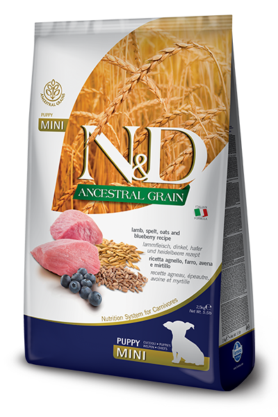FARMINA N&D ANCESTRAL GRAIN - LAMB & BLUEBERRY PUPPY MINI BREED