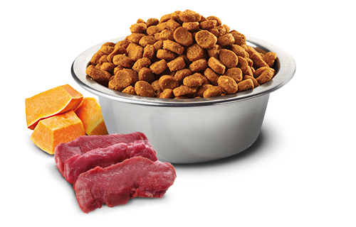 FARMINA N&D PUMPKIN: VENISION, PUMPKIN & APPLE CAT FOOD