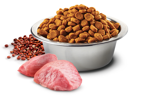 FARMINA N&D QUINOA: LAMB & QUINOA WEIGHT MANAGEMENT CAT FOOD