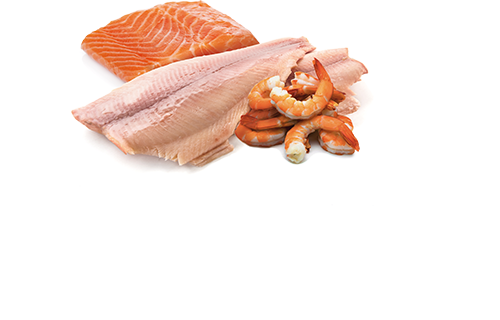 FARMINA N&D OCEAN - TROUT, SHRIMP & SALMON ADULT WET CAT FOOD