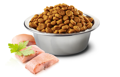 FARMINA N&D OCEAN: HERRING & ORANGE ADULT CAT FOOD