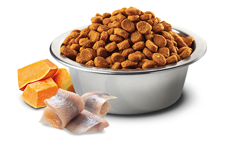 FARMINA N&D OCEAN: HERRING, PUMPKIN & ORANGE ADULT CAT FOOD