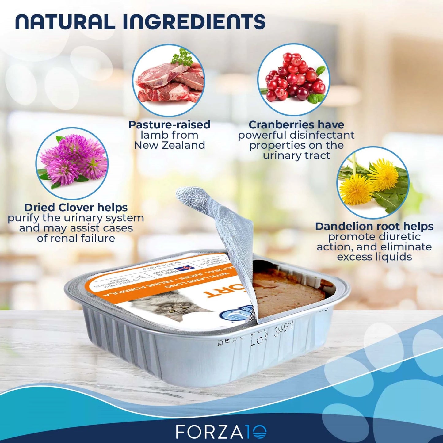 FORZA10 NUTRACEUTIC ACTIWET RENAL SUPPORT WET CAT FOOD