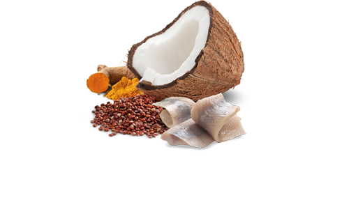 FARMINA N&D QUINOA - SKIN & COAT HERRING & COCONUT WET CAT FOOD