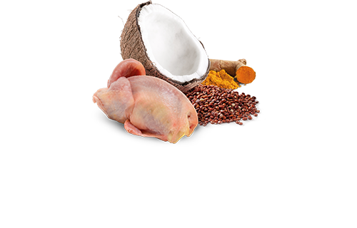 FARMINA N&D QUINOA - SKIN & COAT QUAIL & COCONUT WET CAT FOOD