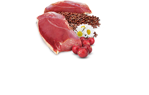 FARMINA N&D QUINOA - URINARY DUCKS WET CAT FOOD