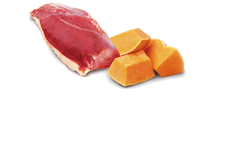 FARMINA N&D PUMPKIN - DUCK, PUMPKIN & CANTALOUPE WET CAT FOOD