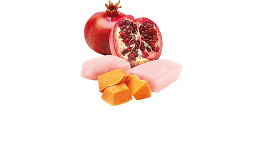FARMINA N&D PUMPKIN - CHICKEN, POMEGRANATE & PUMPKIN DOG WET FOOD
