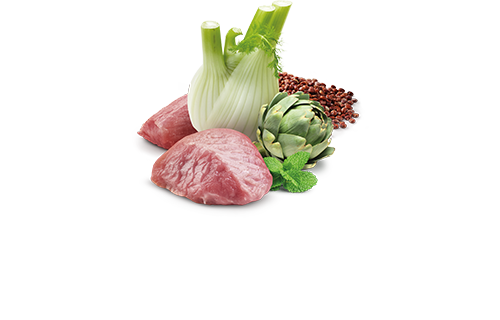 FARMINA N&D QUINOA - DIGESTION LAMB DOG WET FOOD
