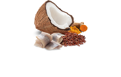 FARMINA N&D QUINOA - SKIN & COAT HERRING & COCONUT DOG WET FOOD