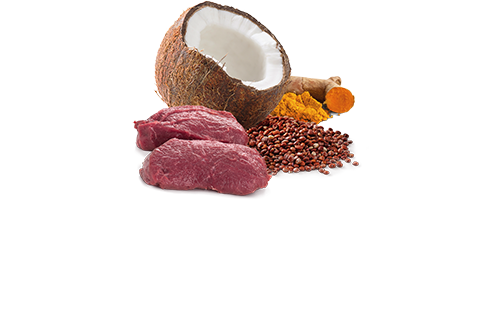 FARMINA N&D QUINOA - SKIN & COAT VENISON & COCONUT DOG WET FOOD