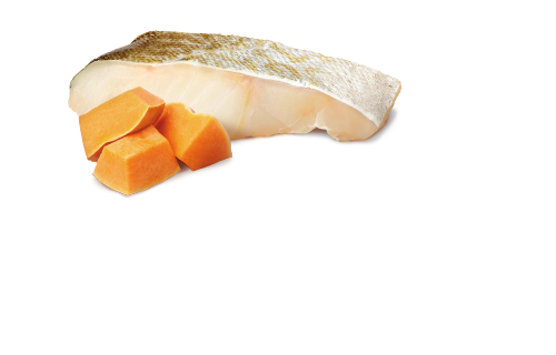 FARMINA N&D OCEAN - COD & PUMPKIN DOG WET FOOD