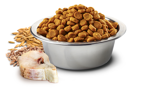 FARMINA N&D OCEAN - COD, SPELT, OATS & ORANGE ADULT MEDIUM & MAXI BREED