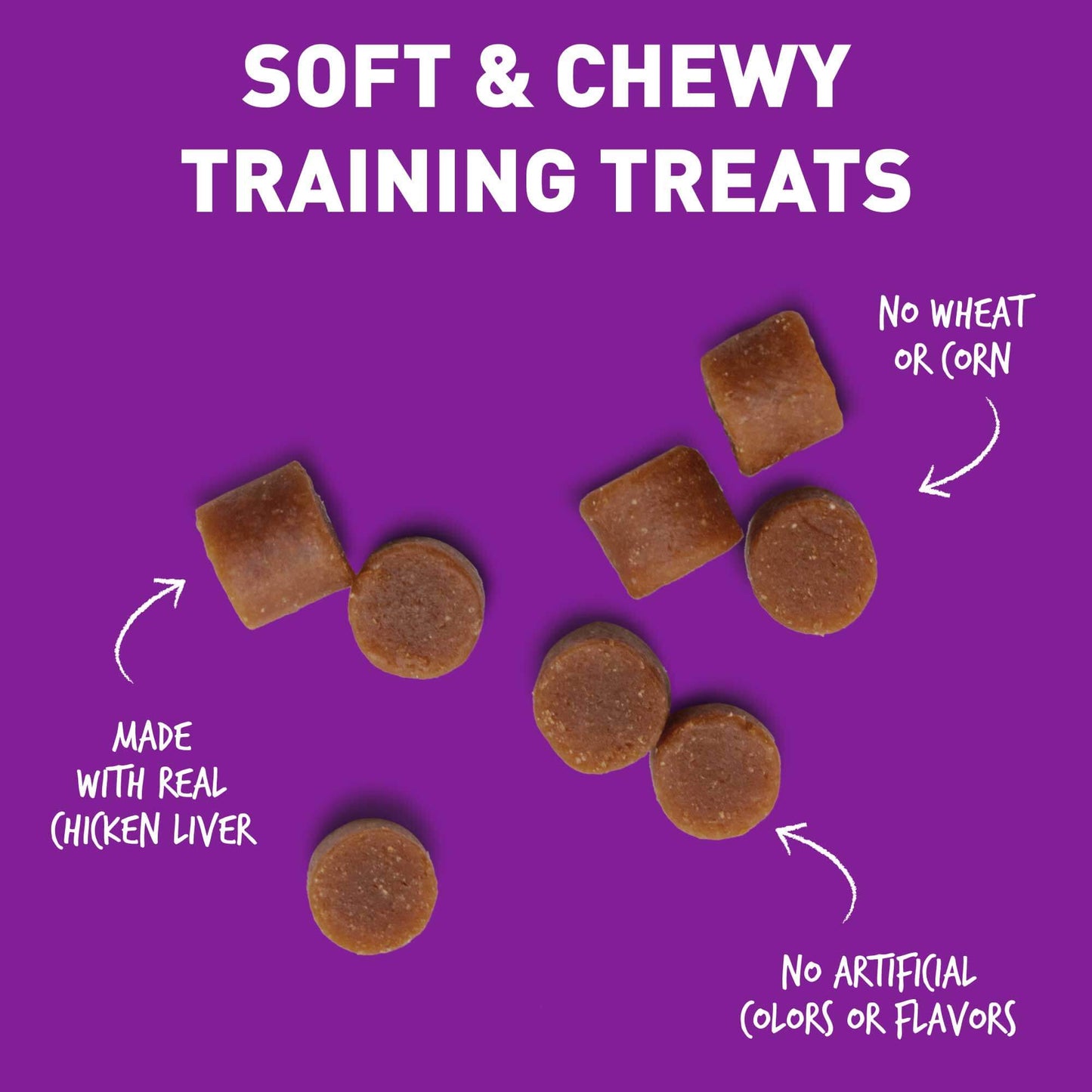 CLOUD STAR TRICKY TRAINERS PUPPY MINI LIVER 5OZ