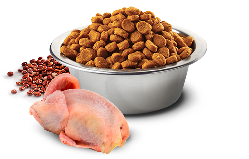 FARMINA N&D QUINOA FUNCTIONAL - SKIN & COAT QUAIL FOR DOGS (MINI BREED)