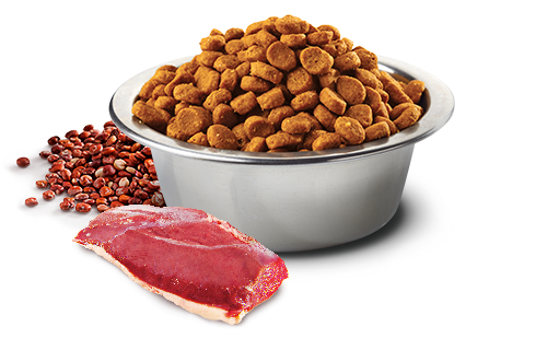 FARMINA N&D QUINOA: DUCK, BROCCOLI & ASPARAGUS NEUTERED CAT FOOD