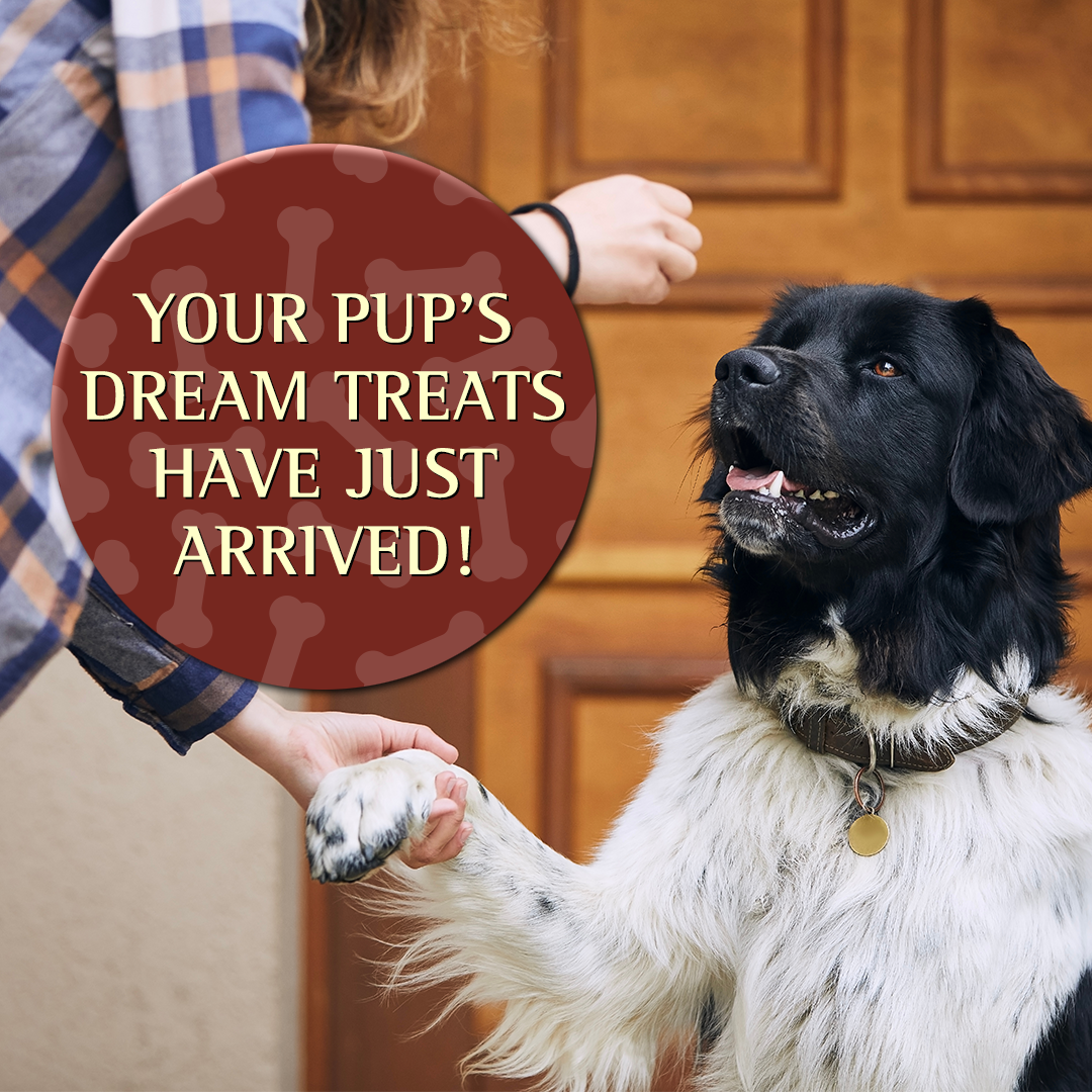 ZIGNATURE VENISON FORMULA SOFT MOIST TREATS FOR DOGS