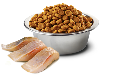 FARMINA N&D OCEAN: HERRING & ORANGE NEUTERED ADULT CAT FOOD