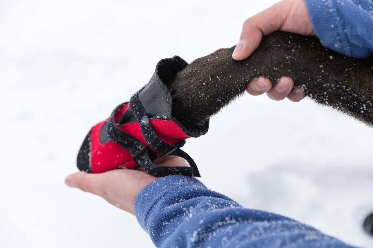 PAWSH PADS PAW PROTECTORS BOOTS
