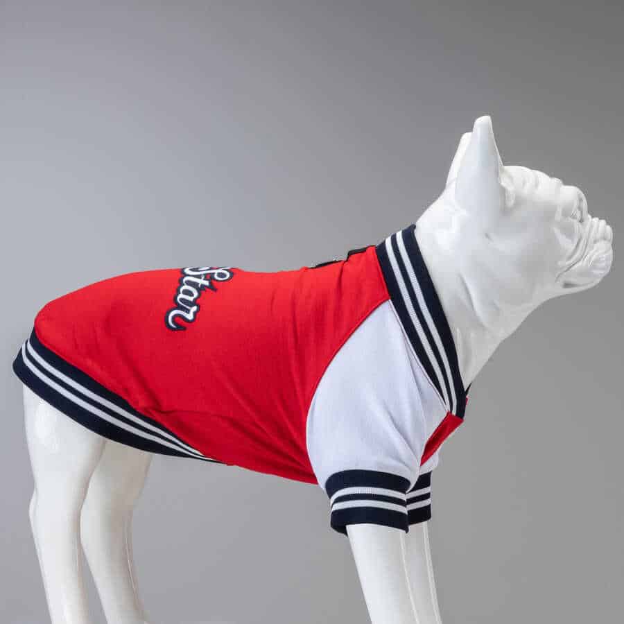 LINDO CLOTHING COLLEGE SWEATSHIRT : ALL STAR