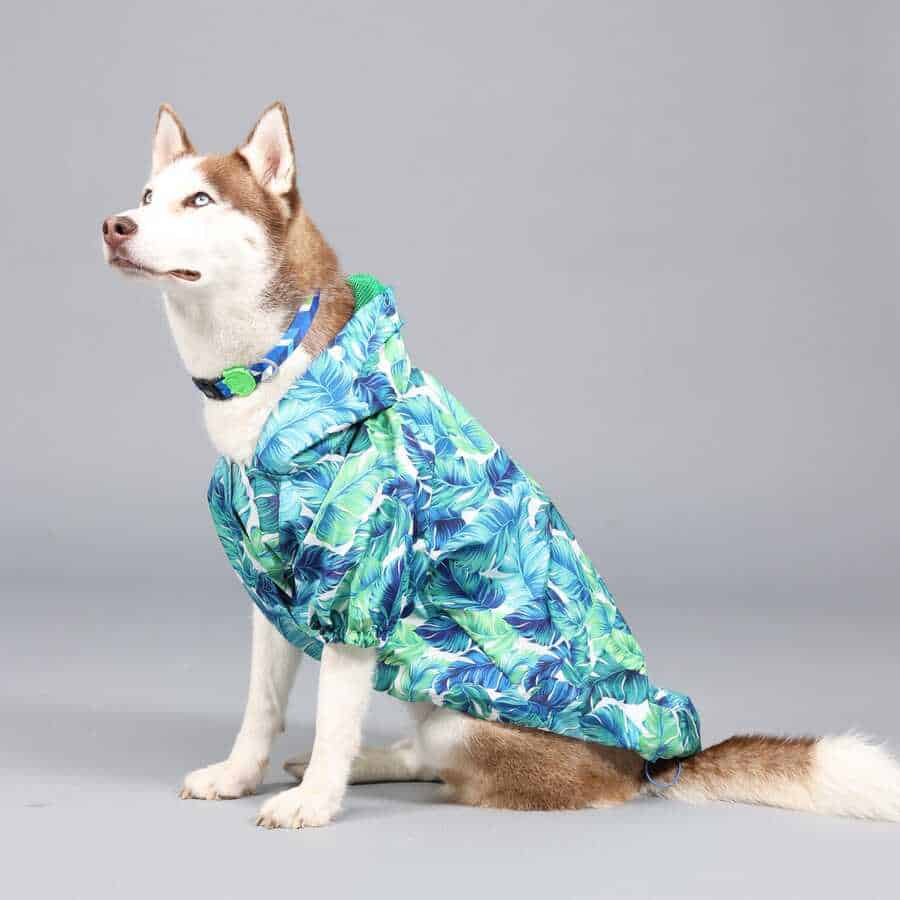 LINDO CLOTHING AQUA FLEECE POLAR