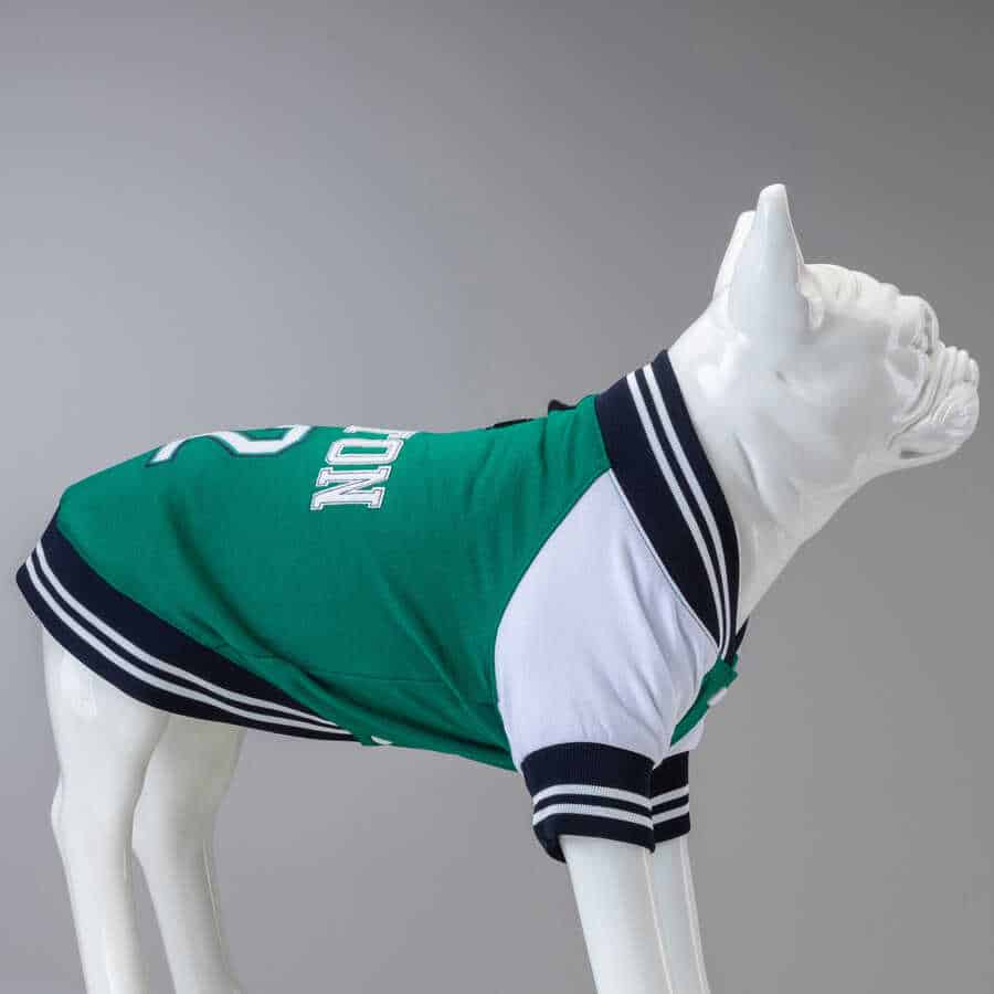 LINDO CLOTHING COLLEGE SWEATSHIRT : BOSTON