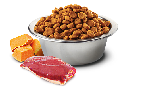 FARMINA N&D PUMPKIN GRAIN FREE - DUCK & CANTALOUPE MELON ADULT - MEDIUM & MAXI BREEDS
