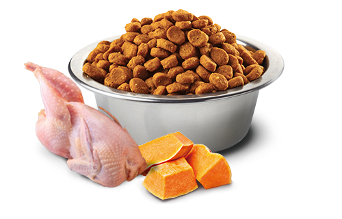 FARMINA N&D PUMPKIN GRAIN FREE - QUAIL & POMEGRANATE ADULT - MINI BREED