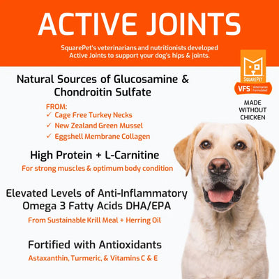 SQUARE PET VFS® ACTIVE JOINTS DRY DOG FOOD
