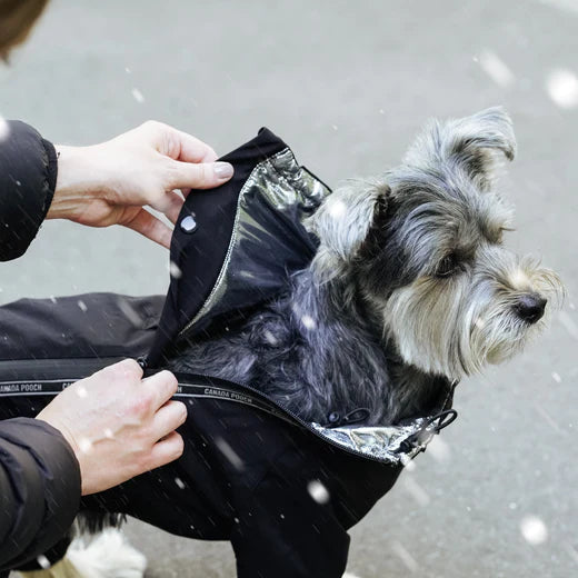 CANADA POOCH SNOWSUIT
