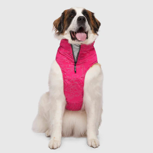 CANADA POOCH EXPEDITION COAT 2.0