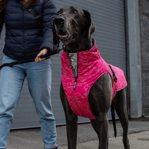 CANADA POOCH EXPEDITION COAT 2.0