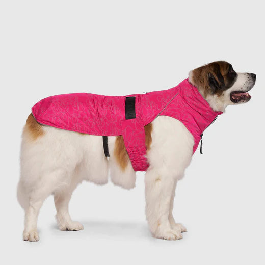 CANADA POOCH EXPEDITION COAT 2.0