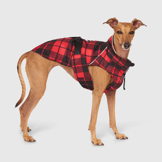 CANADA POOCH EXPEDITION COAT 2.0