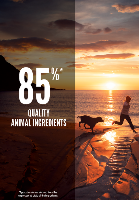 ORIJEN FIT & TRIM DOG DRY FOOD