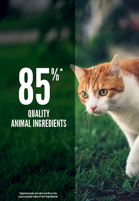 ORIJEN FIT & TRIM CAT DRY FOOD