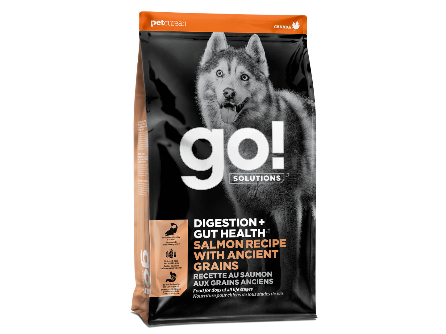 GO! SOLUTIONS DIGESTION + GUT HEALTH SALMON RECIPE WITH ANCIENT GRAINS FOR DOGS