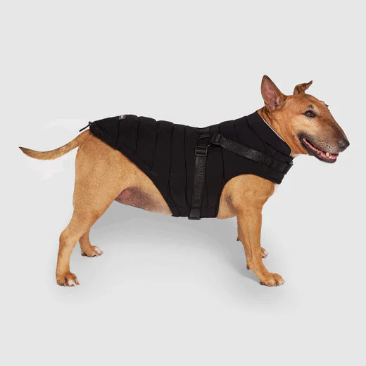 CANADA POOCH HARNESS PUFFER