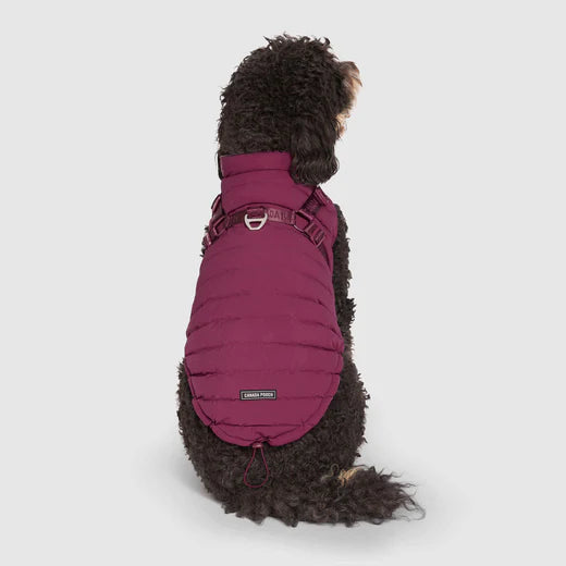 CANADA POOCH HARNESS PUFFER