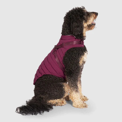 CANADA POOCH HARNESS PUFFER