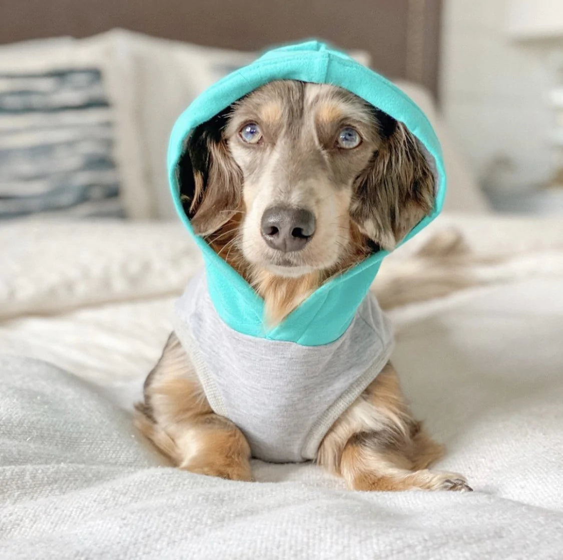 SHARPER BARKER FLEECE HOODIES COLOR BLOCK : SKYE